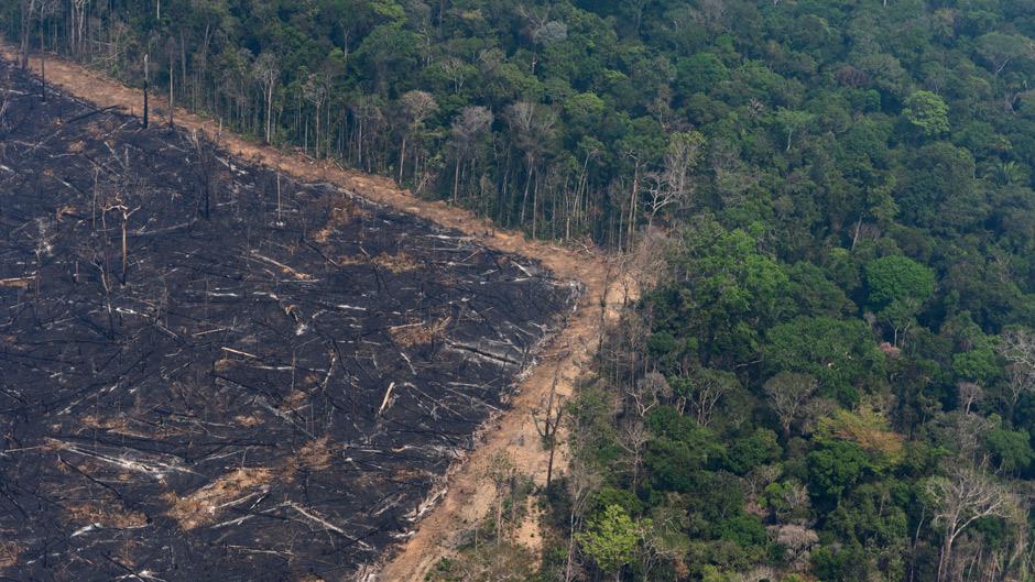 amazon-destruction.jpg