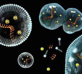 proto-cells.jpg