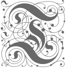fancy-t-sm.png