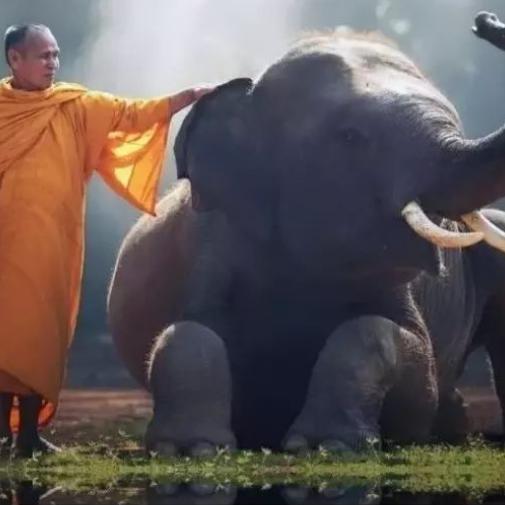 monk+elephant-sm.jpg