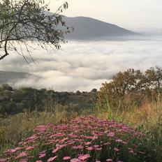 sierra-nevada-granada-spain-sm.jpg