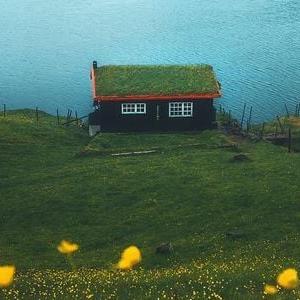 tulip-house-sm.jpg